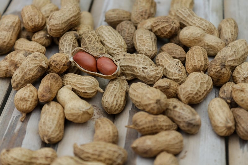 Sustainable Protein